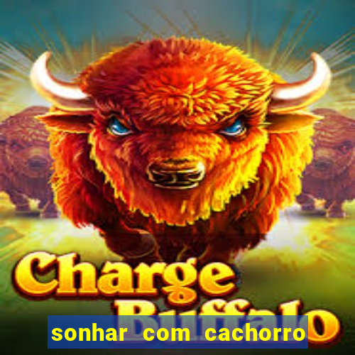 sonhar com cachorro cruzando jogo do bicho